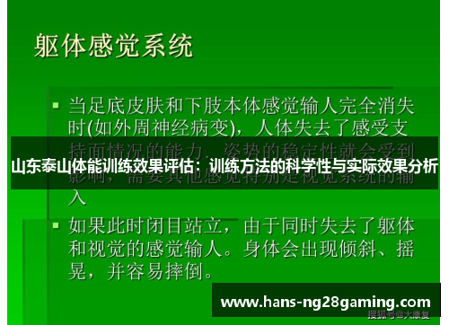 山东泰山体能训练效果评估：训练方法的科学性与实际效果分析