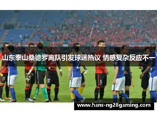 山东泰山桑德罗离队引发球迷热议 情感复杂反应不一