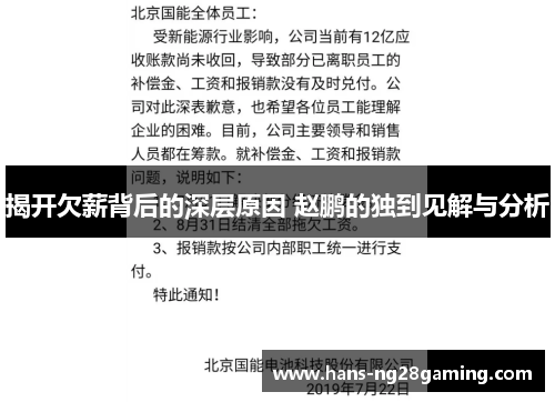 揭开欠薪背后的深层原因 赵鹏的独到见解与分析