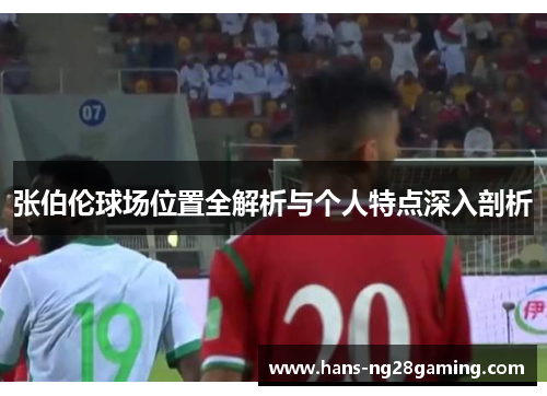张伯伦球场位置全解析与个人特点深入剖析
