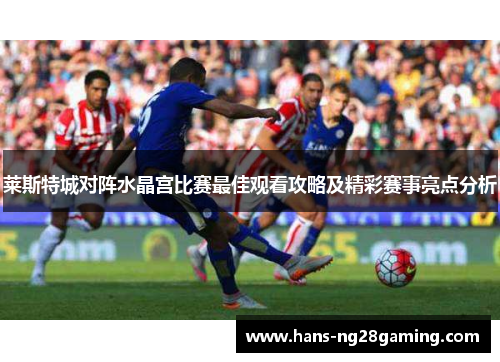 莱斯特城对阵水晶宫比赛最佳观看攻略及精彩赛事亮点分析