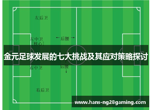 金元足球发展的七大挑战及其应对策略探讨