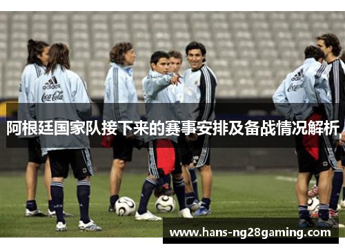 阿根廷国家队接下来的赛事安排及备战情况解析