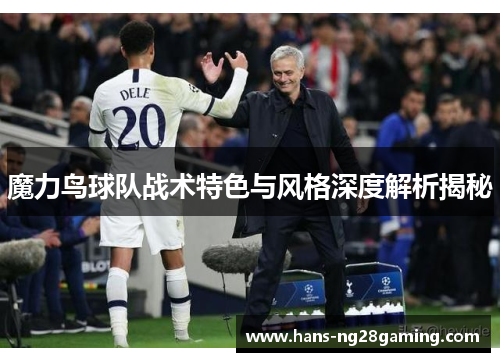 魔力鸟球队战术特色与风格深度解析揭秘